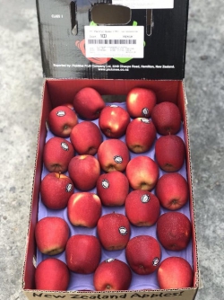 Táo Queen New Zeland