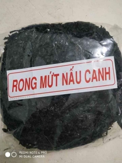 Rong mứt