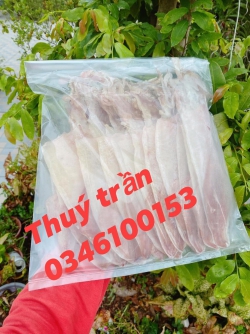 Mực câu khô loại 1