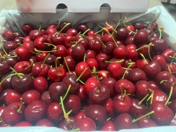 Cherry Úc