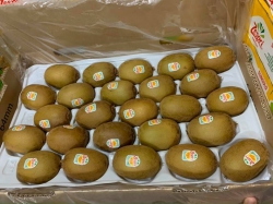 Kiwi vàng Newzealand