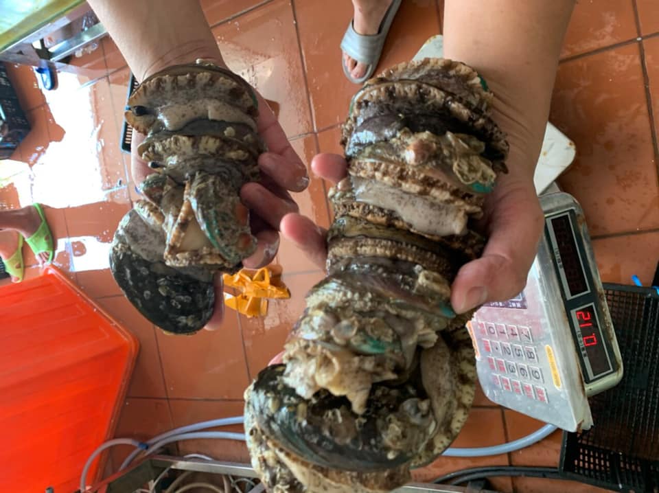 Hải sản ngon bổ rẻ