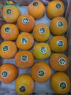 Hồng giòn Hàn Quốc