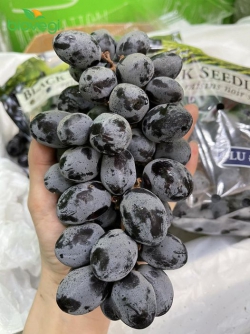 Nho đen không hạt