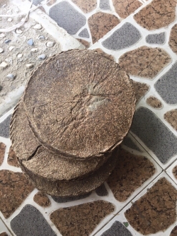 Bánh dầu đậu phộng (Khô lạc )