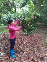 Quách Thị Phượng