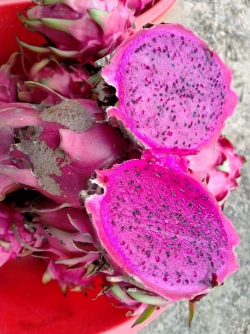 Thanh long nương ruột đỏ