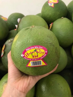 Bưởi da xanh thương hiệu Hoàng Quý 868