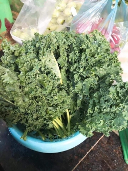 Cải Kale