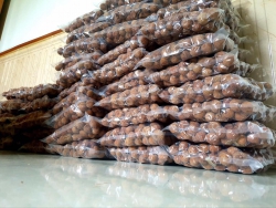 Vải Thiếu sấy khô