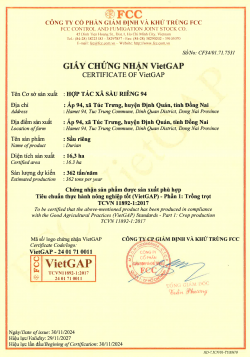 Sầu riêng mongthong